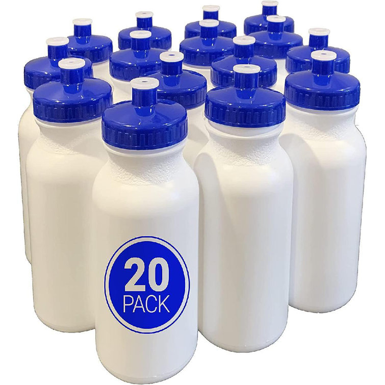 Orchids Aquae 20PK Bulk Water Bottles, 20Oz Water Bottles In Bulk
